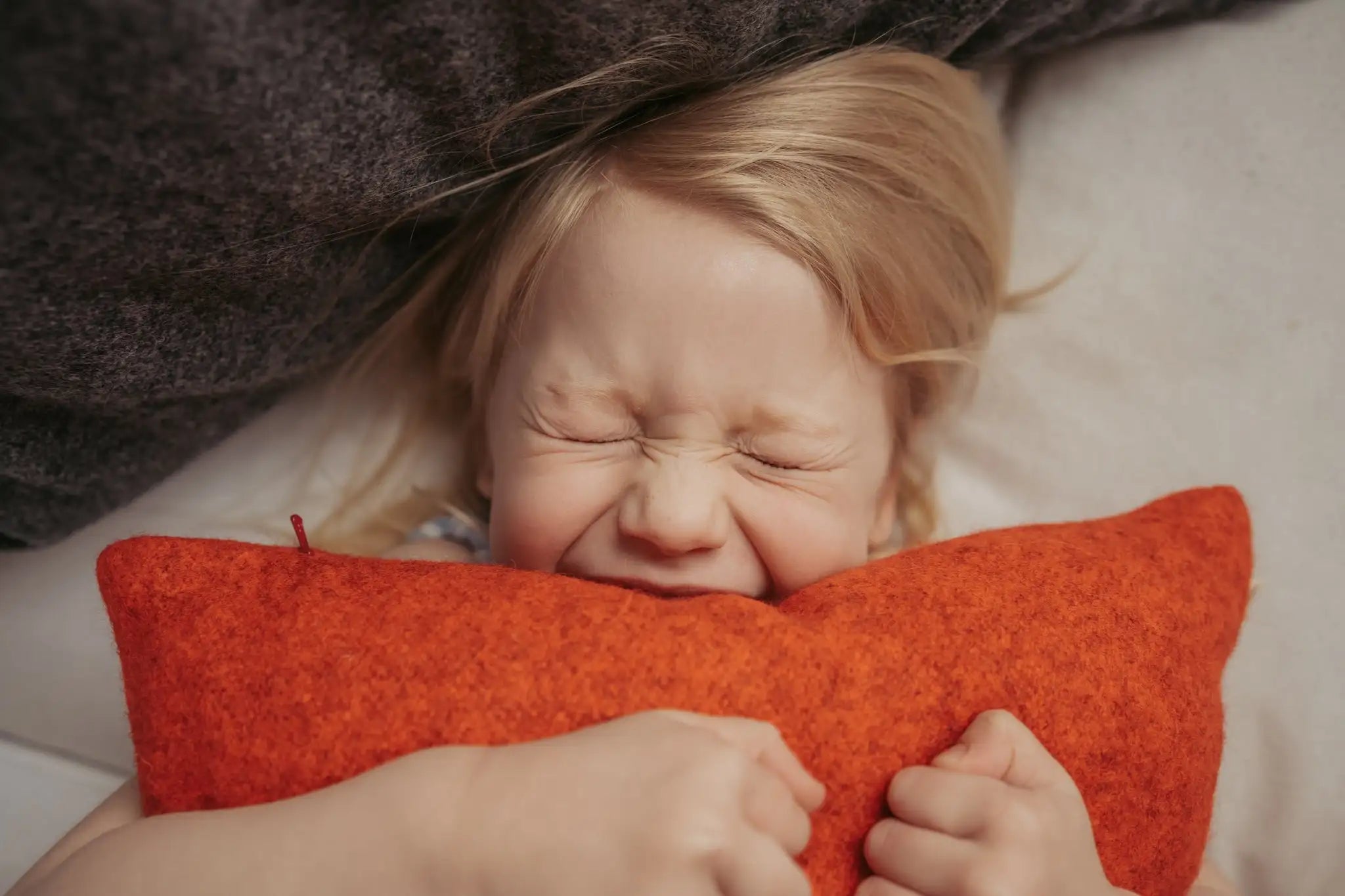 Loving New Zealand's Cushion made from Felted Wool and filled with Wisewool Cloud Kind_Face_New_Zealand_s_Cushion_-_Treasure.webp__PID:02be7684-f43a-42e6-90dd-bc1cbf73c137